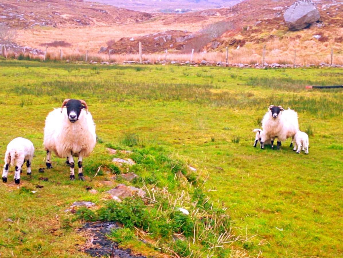 Donegal Cottage Donegal Town Ngoại thất bức ảnh