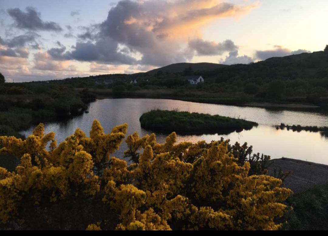 Donegal Cottage Donegal Town Ngoại thất bức ảnh