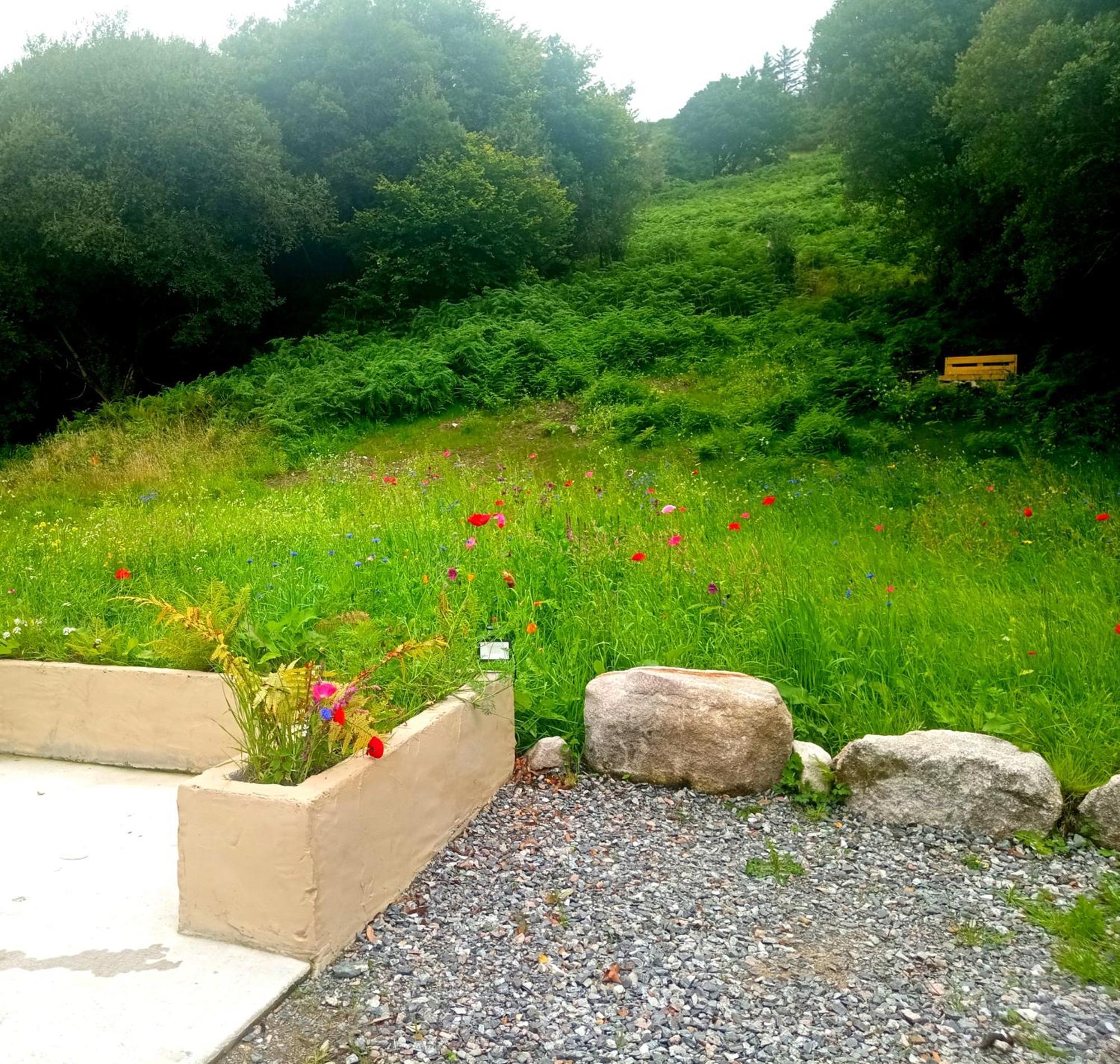Donegal Cottage Donegal Town Ngoại thất bức ảnh